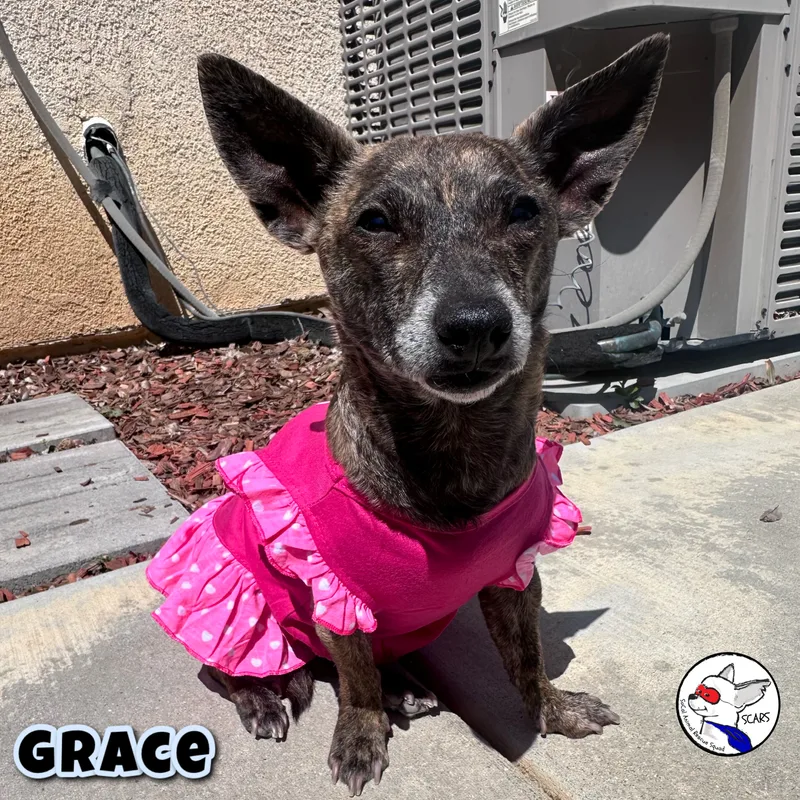 Grace thumbnail 2
