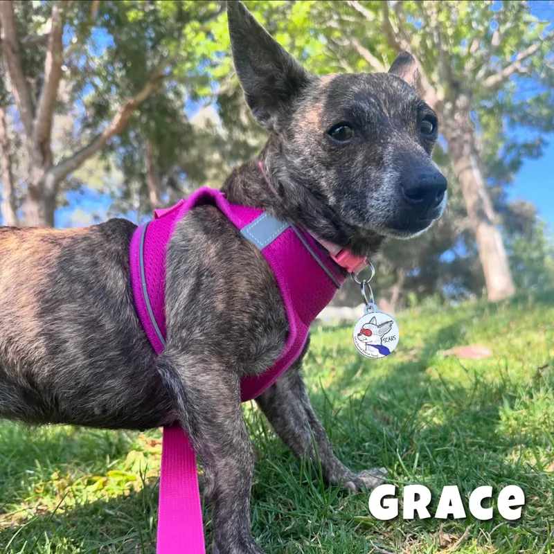 Grace thumbnail 3