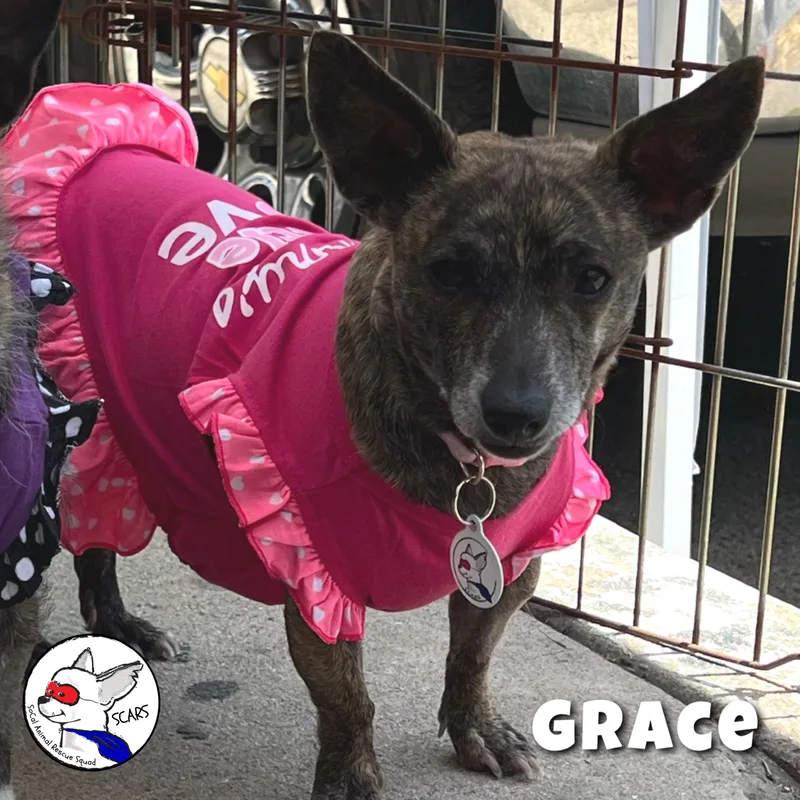 Grace thumbnail 5