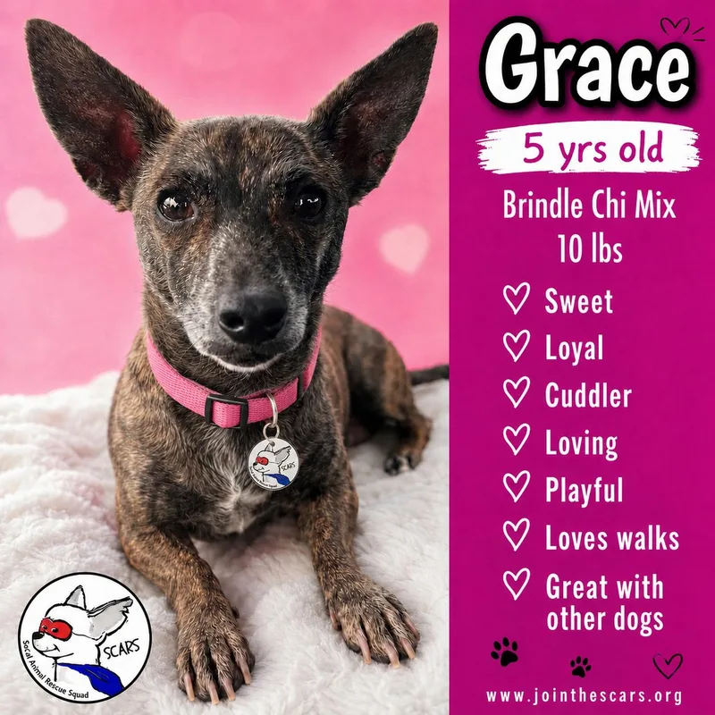 Grace thumbnail 6