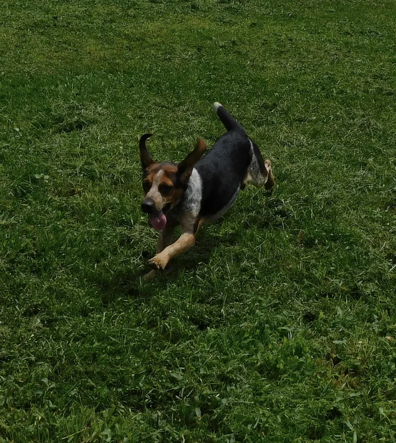 Buster
