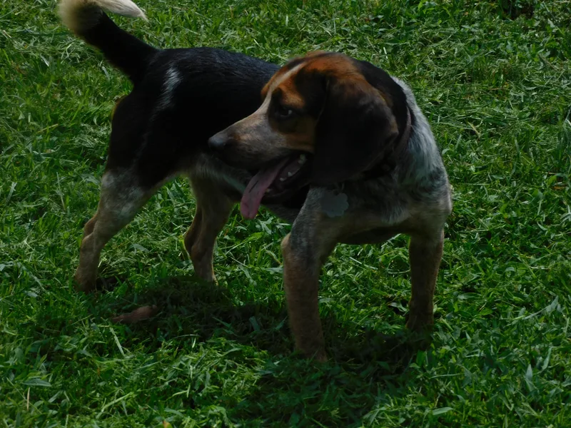 Buster thumbnail 5