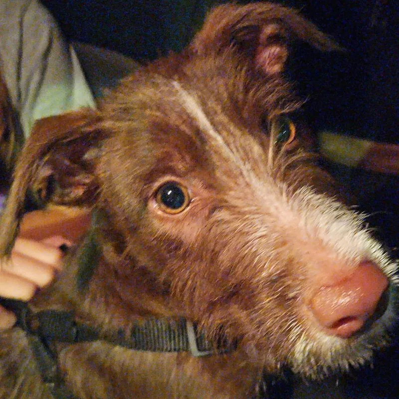 Matilda