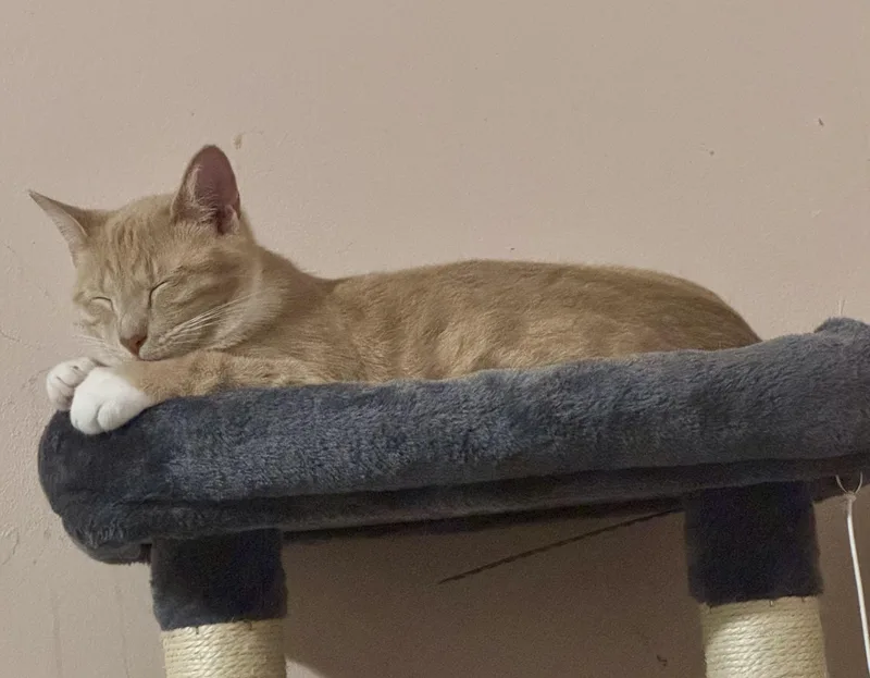 Pavlo =^.^= thumbnail 2