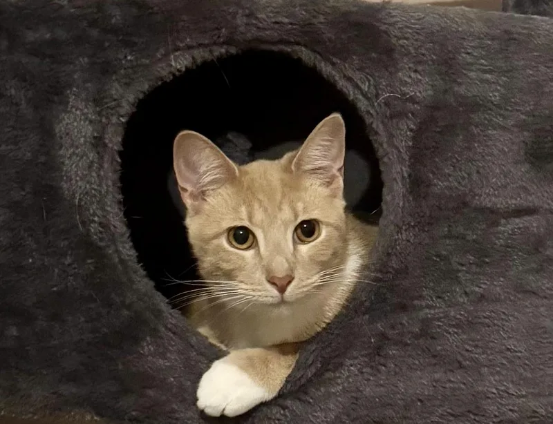 Pavlo =^.^= thumbnail 3