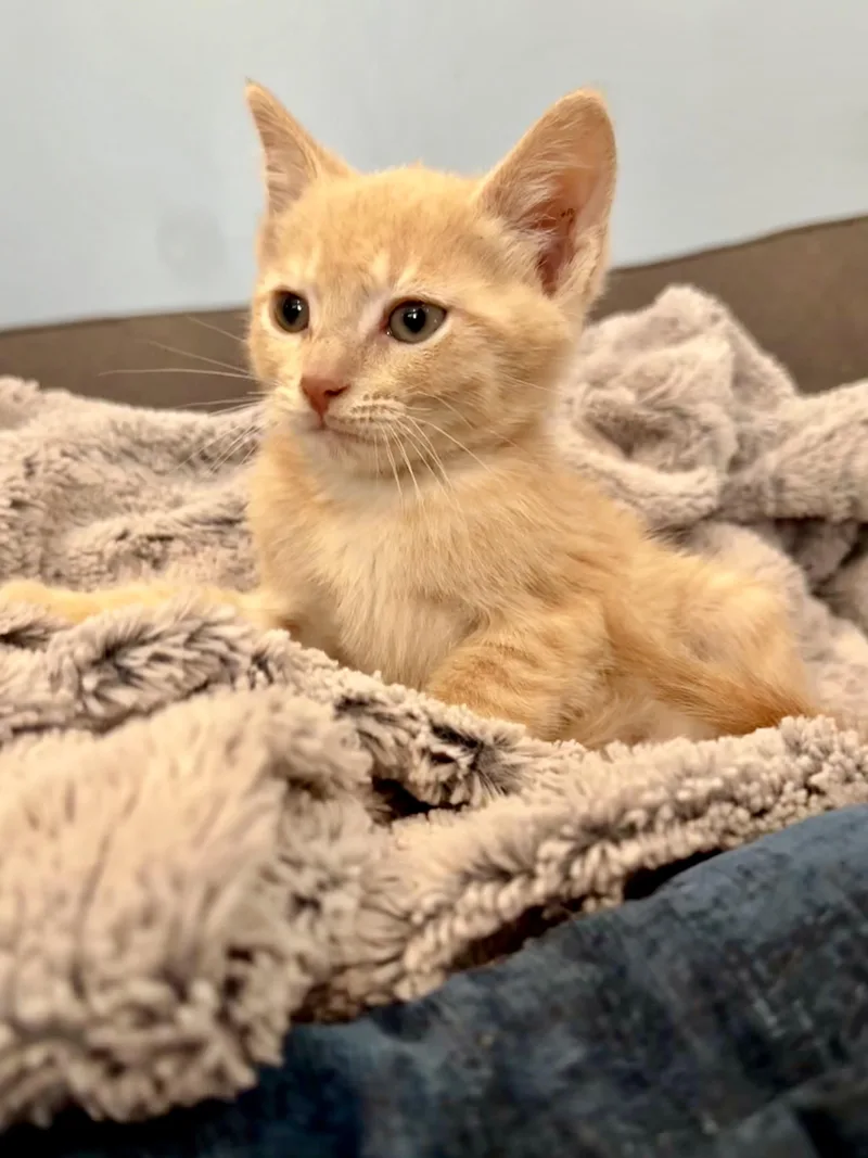 Mars thumbnail 3