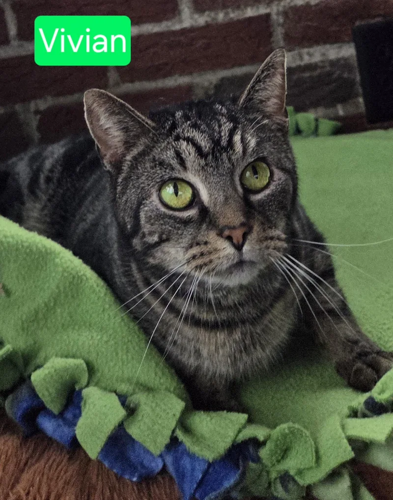 Vivian