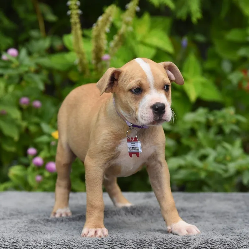 Hourglass thumbnail 2