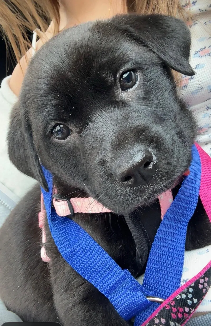 Waverley thumbnail 2