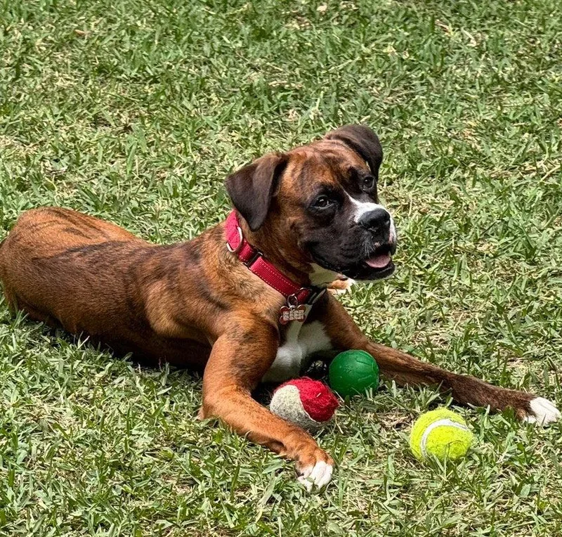 Hot Wheels thumbnail 2