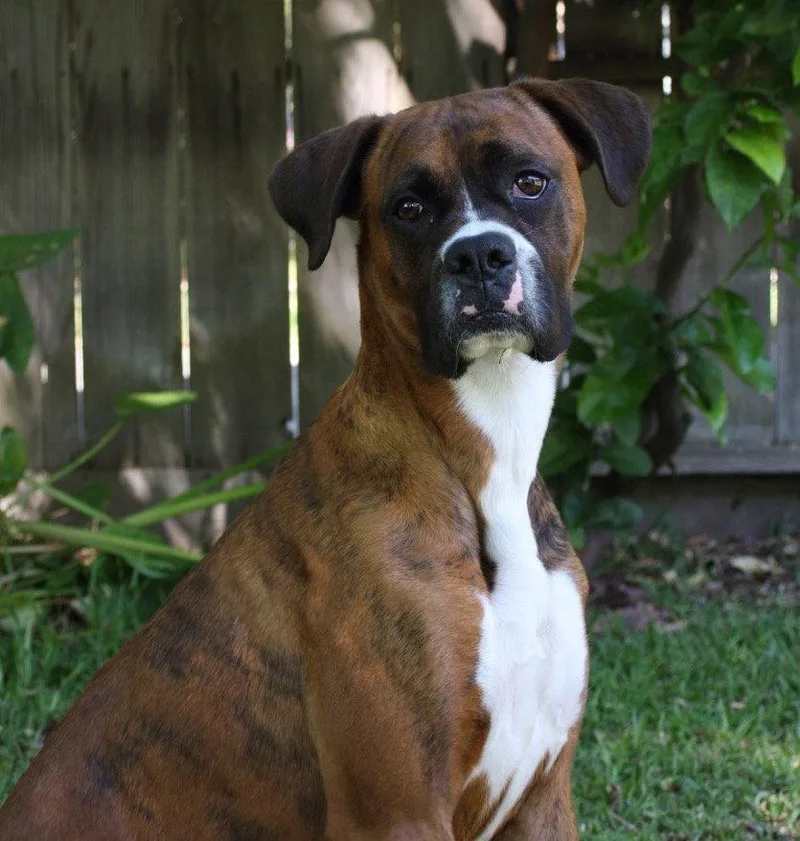 Hot Wheels thumbnail 3