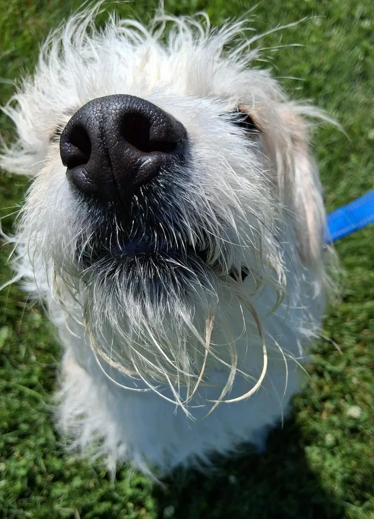 Rocky Mae thumbnail 4