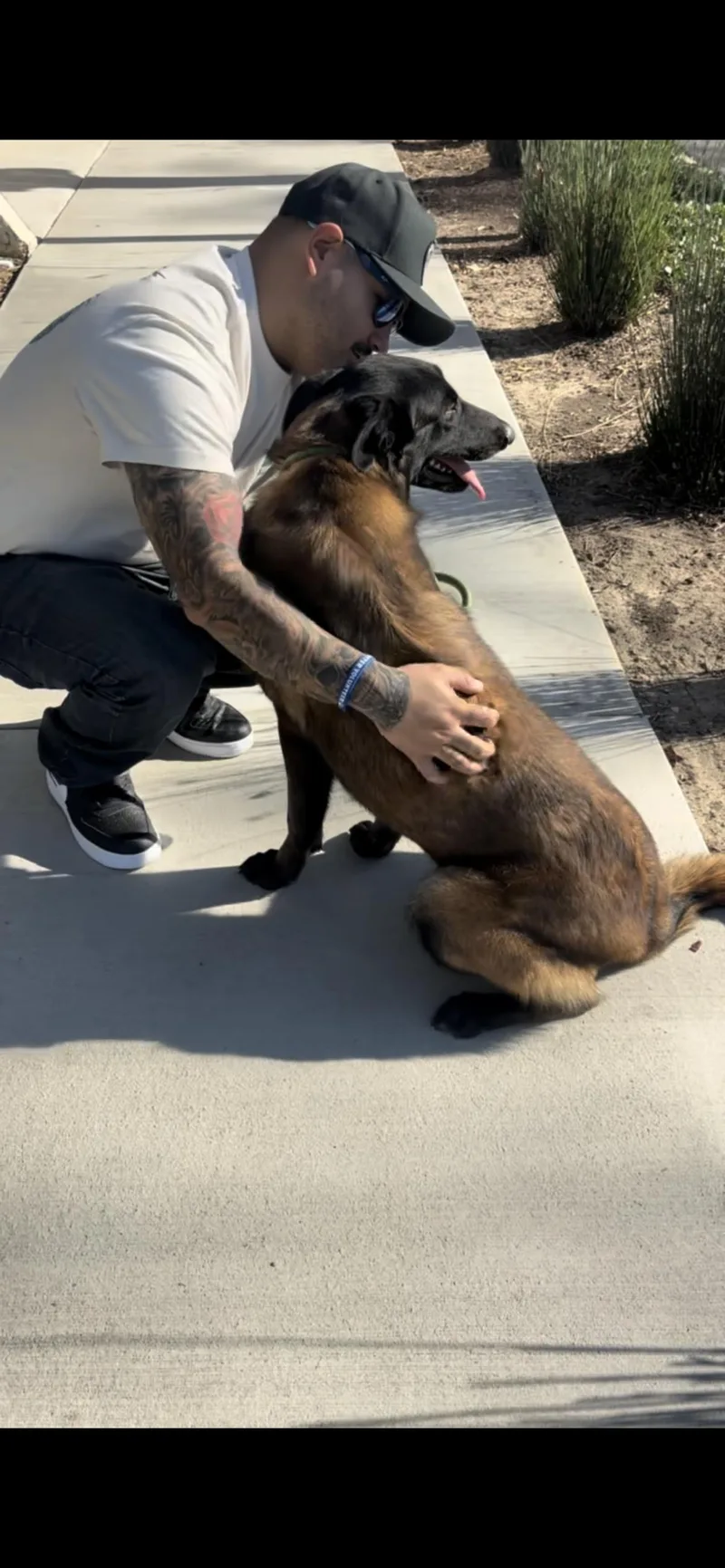 Penelope thumbnail 3