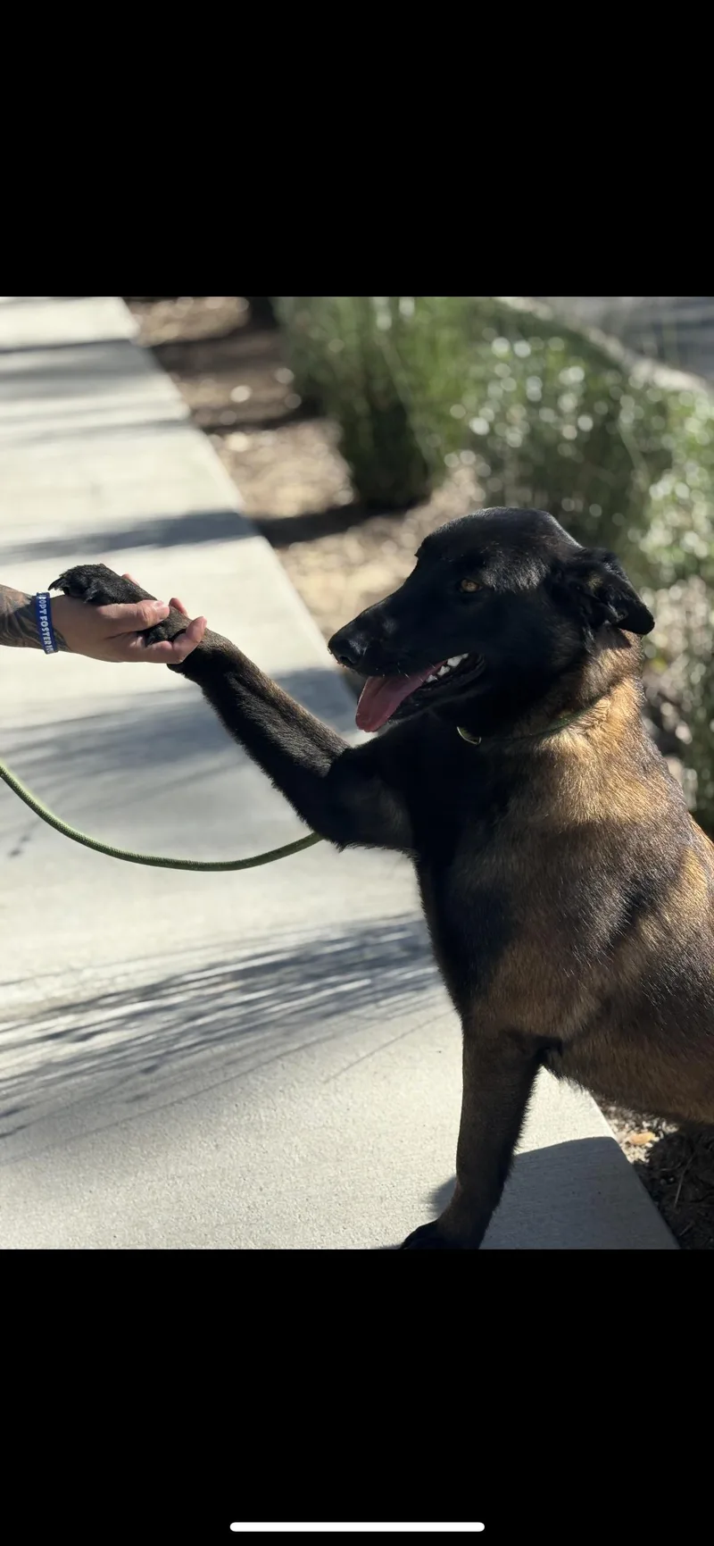 Penelope thumbnail 6