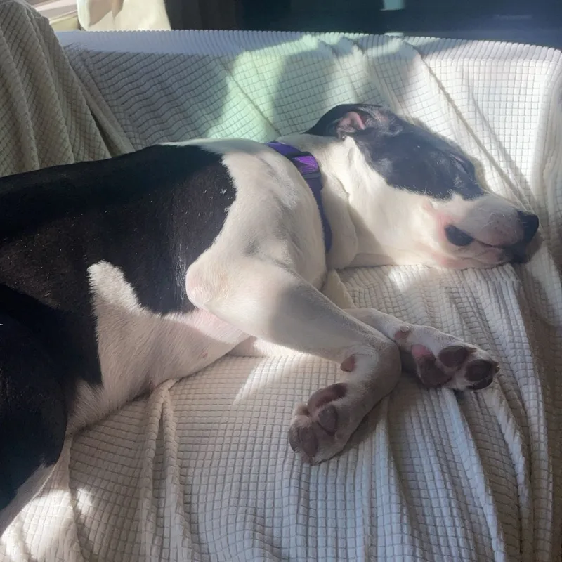 Sallie thumbnail 2