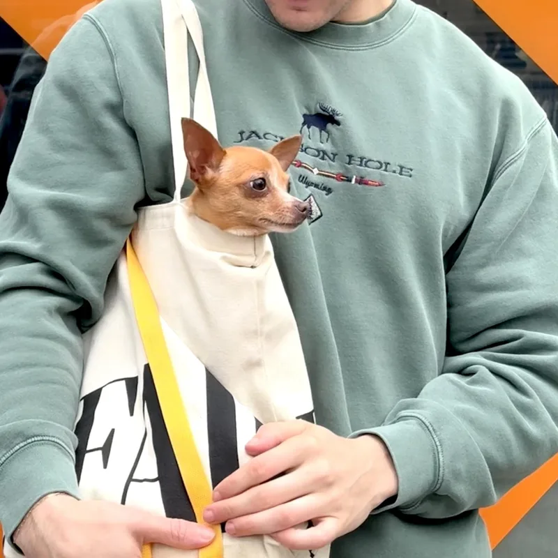 Taco thumbnail 2