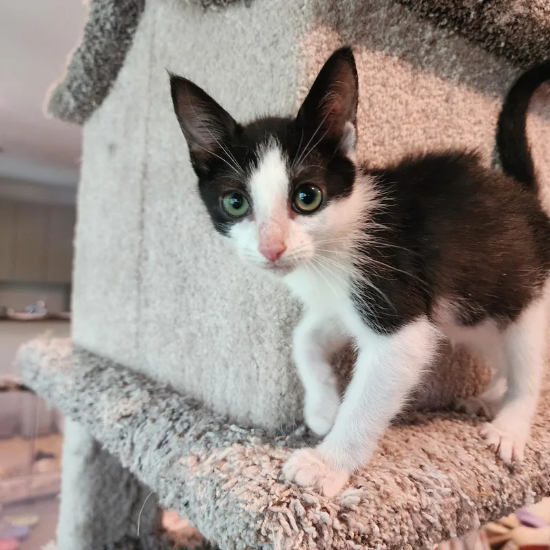 Monica And Phoebe thumbnail 2