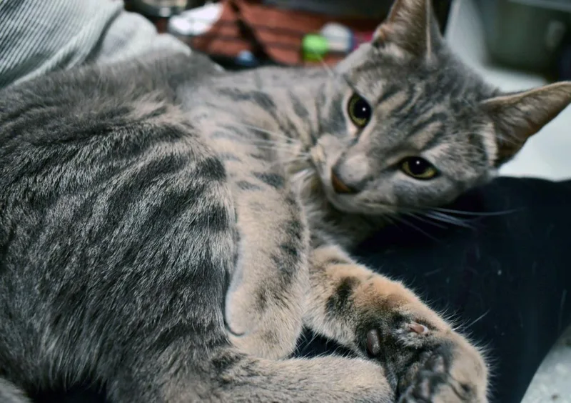 Sasha thumbnail 3