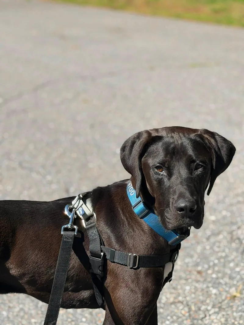 Kayla thumbnail 6