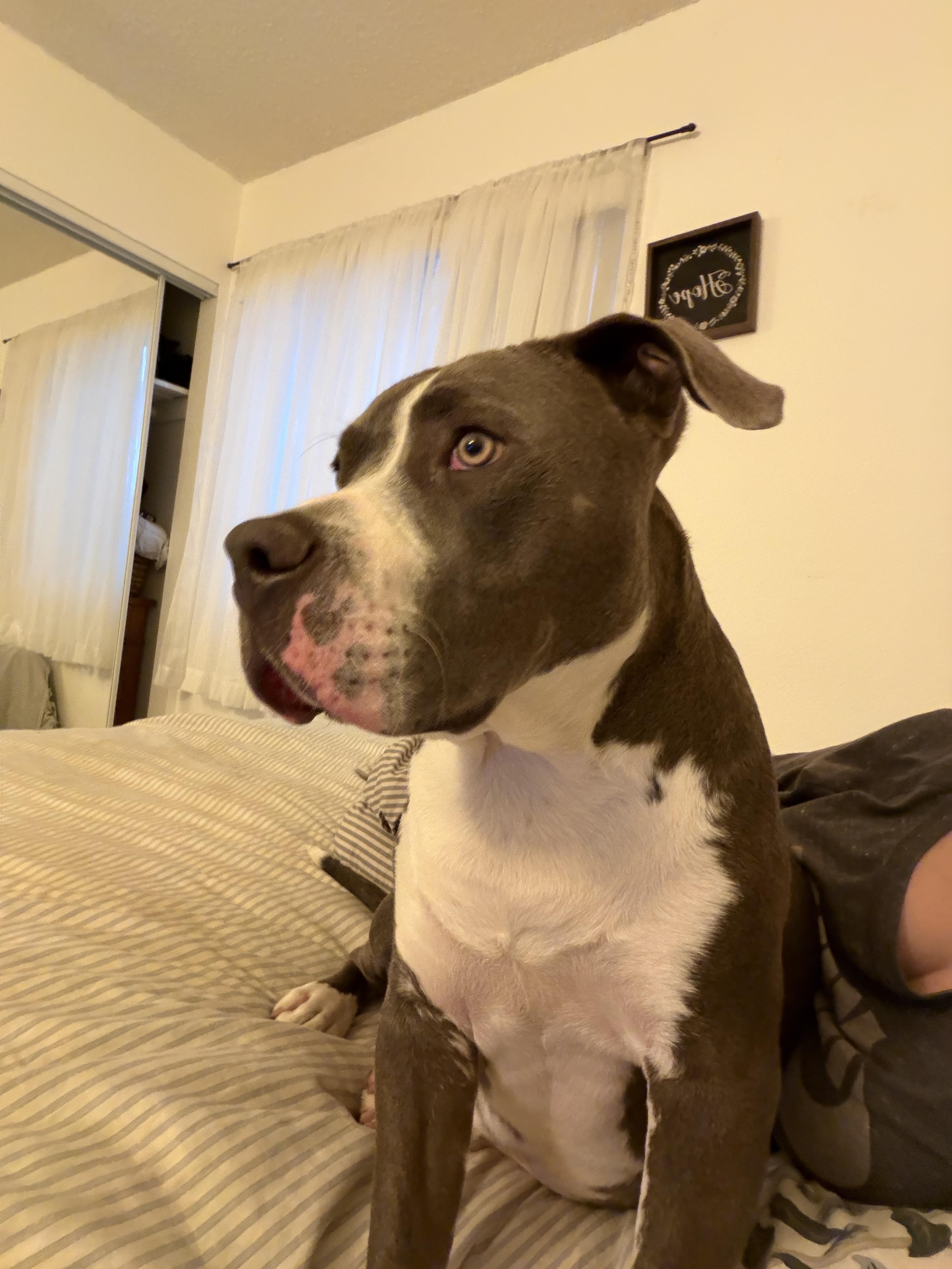Kona Kai thumbnail 5