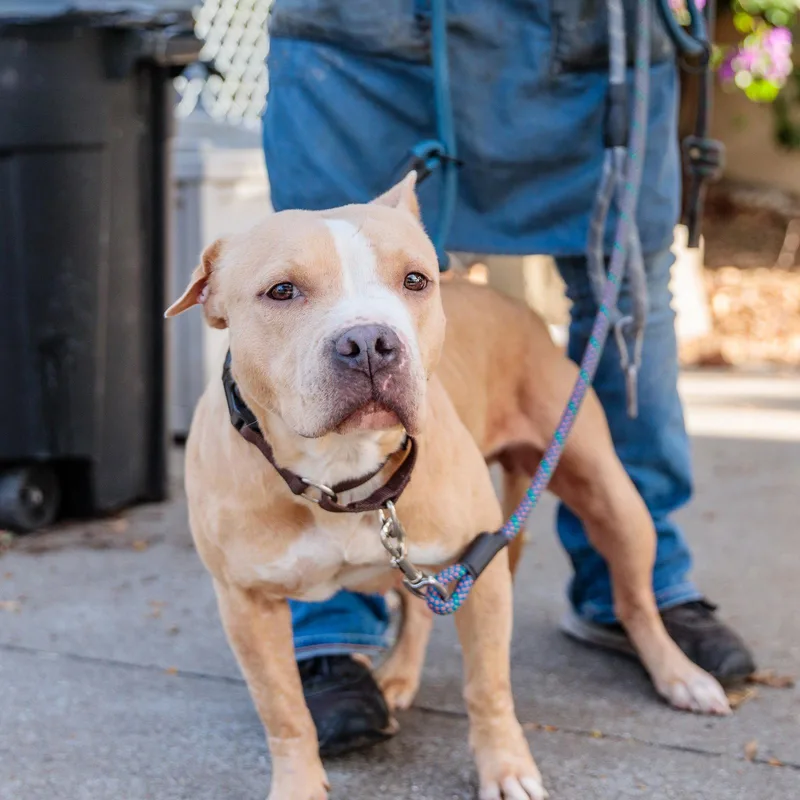 Roxtanne thumbnail 2