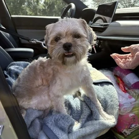 Eddie thumbnail 4