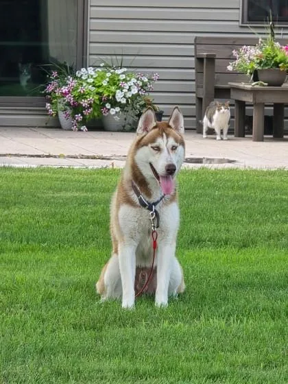 Jake