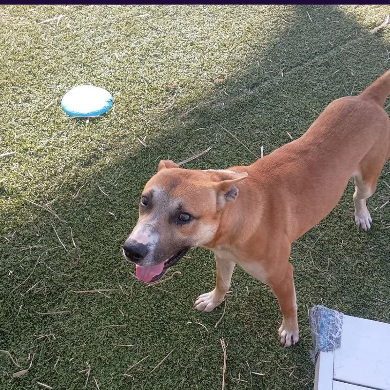 Prince Harry thumbnail 2