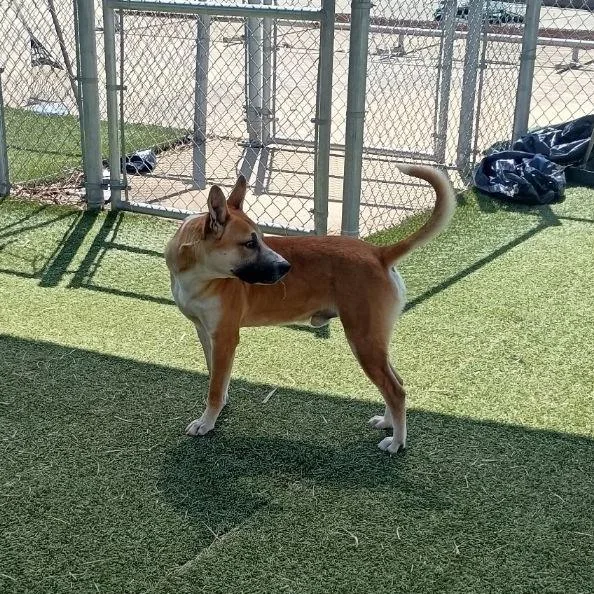 Prince Harry thumbnail 4