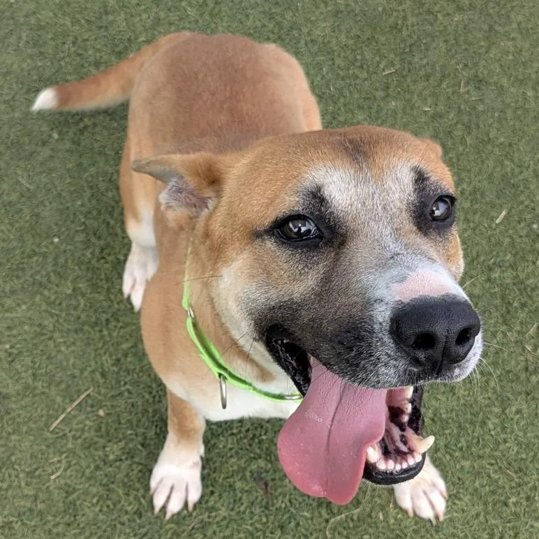 Prince Harry thumbnail 5