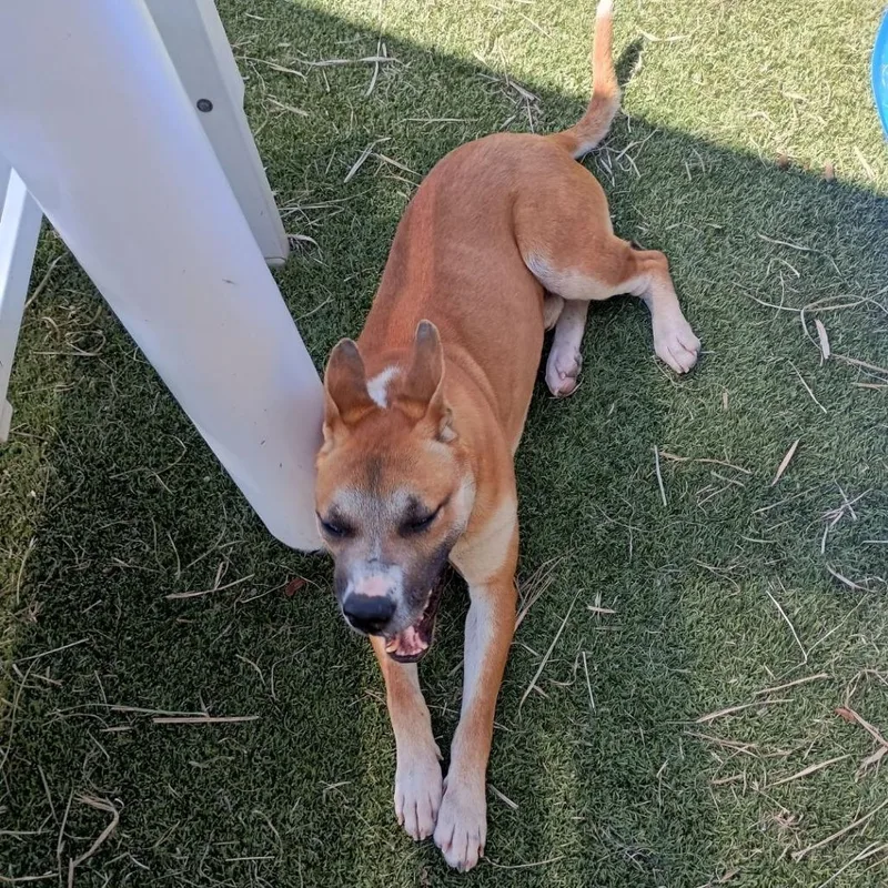 Prince Harry thumbnail 6