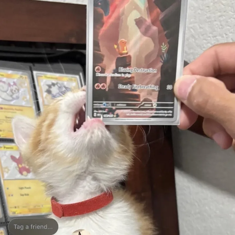 Charmander thumbnail 5