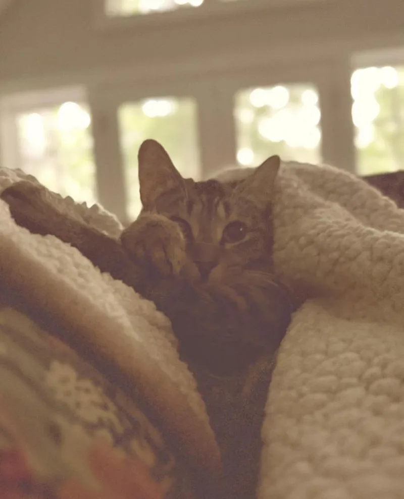 Olivia thumbnail 3