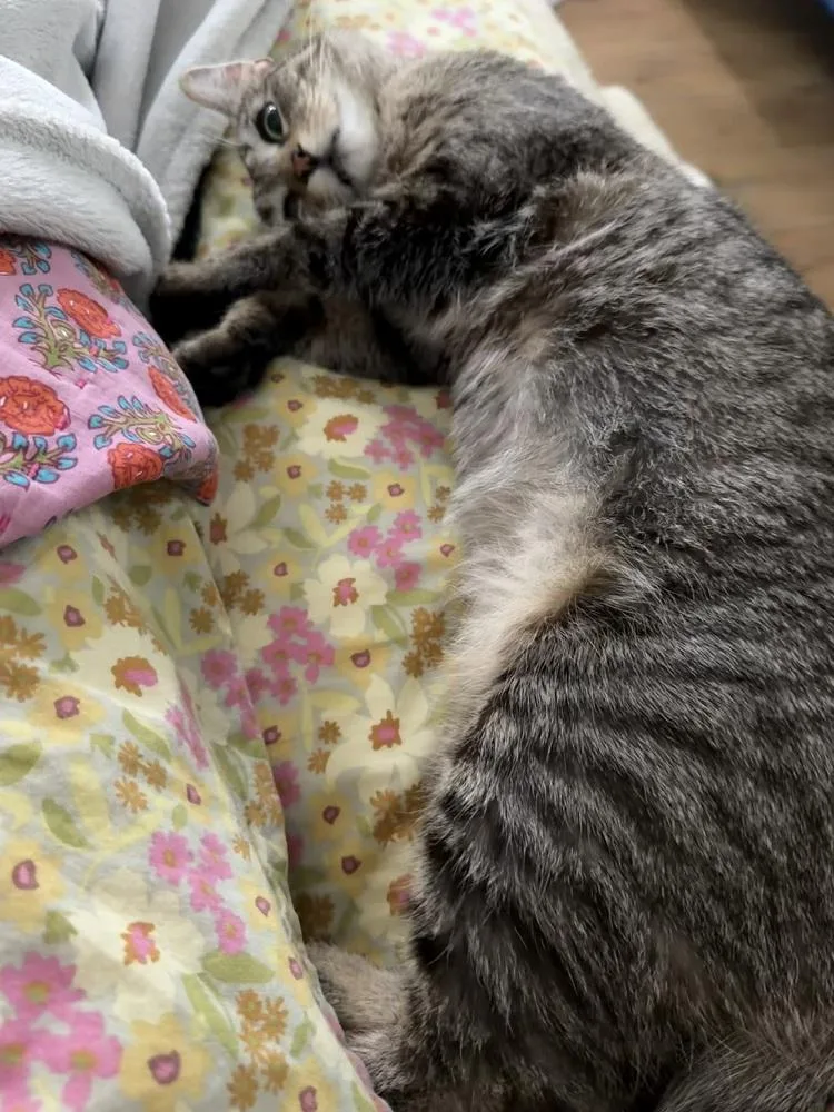 Olivia thumbnail 5