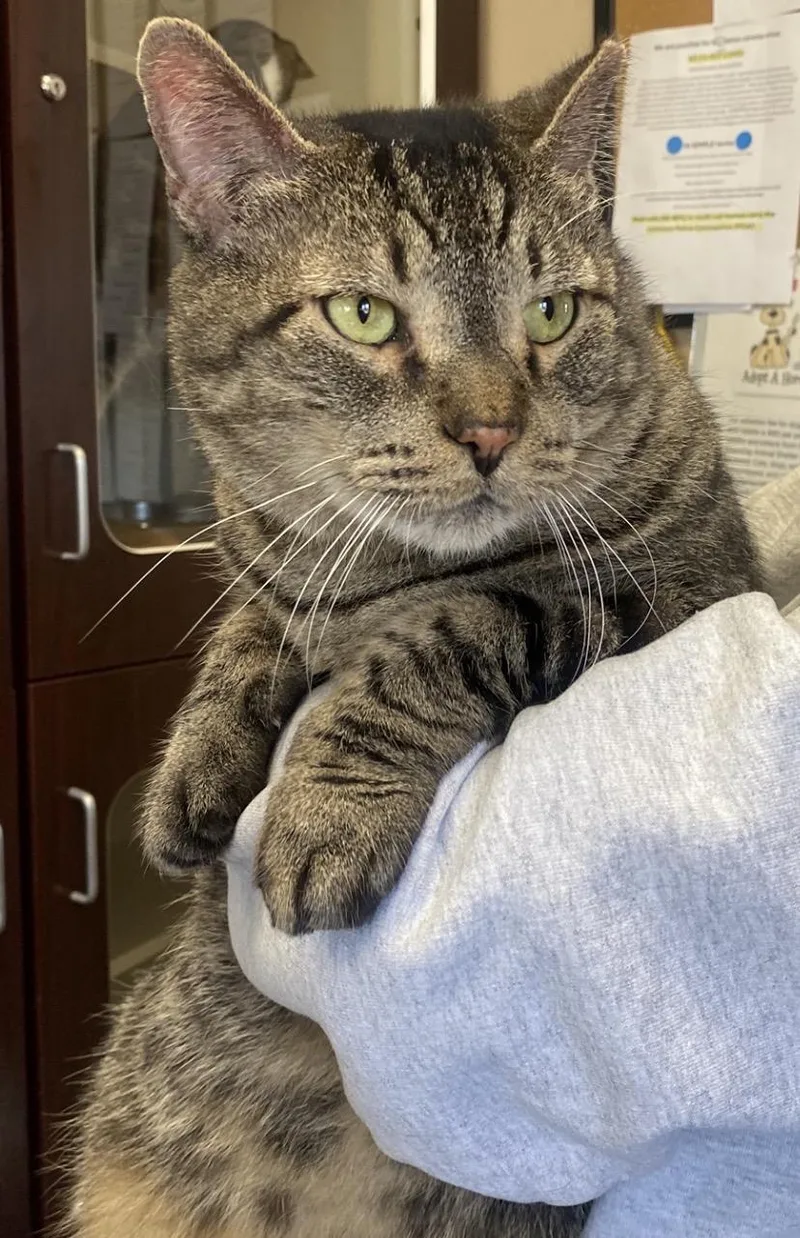 Koolidge thumbnail 2