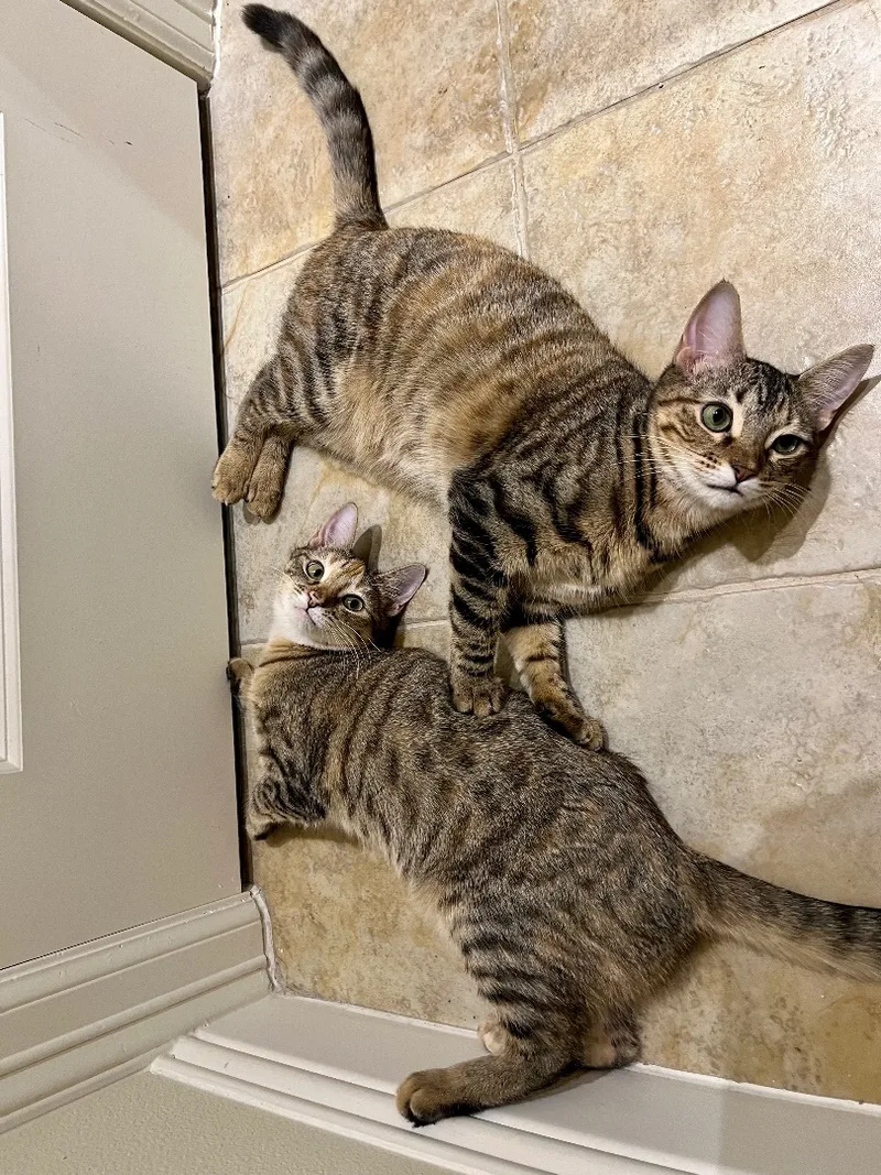 Isla And Maxine thumbnail 2