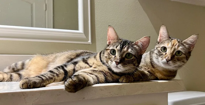 Isla And Maxine thumbnail 3