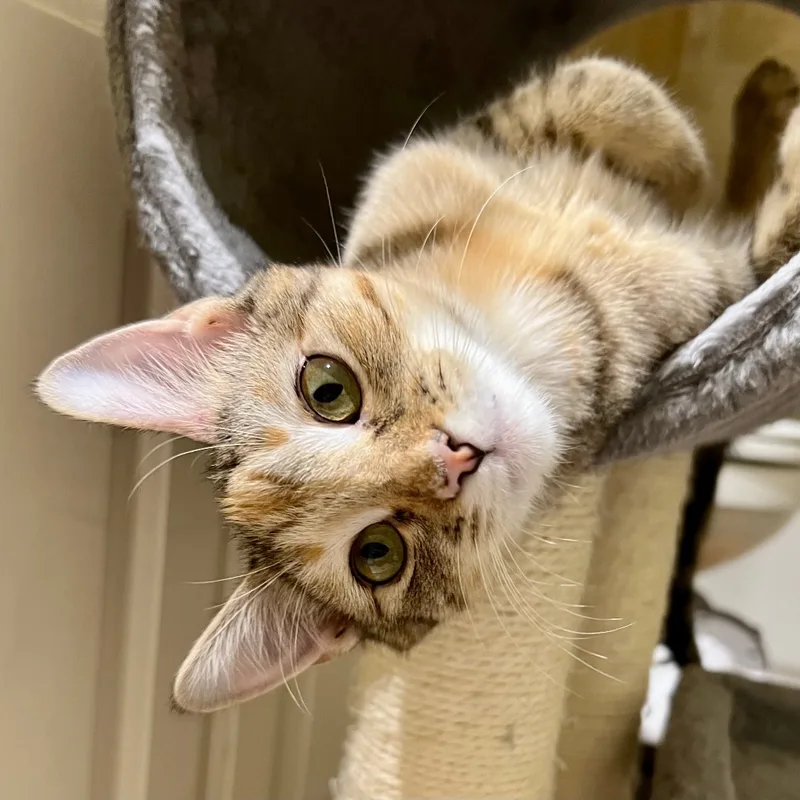 Isla And Maxine thumbnail 6