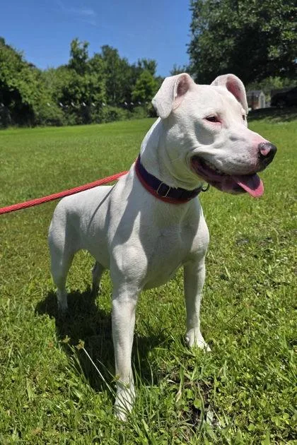 Luna