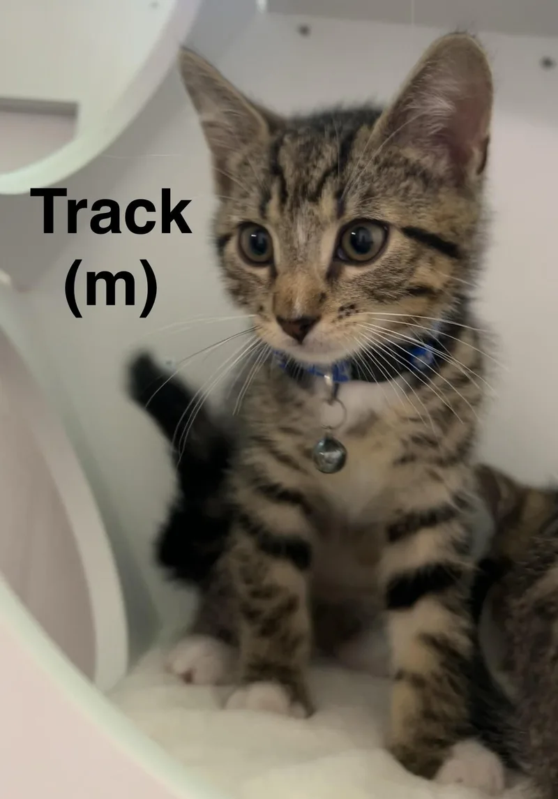 Track thumbnail 2