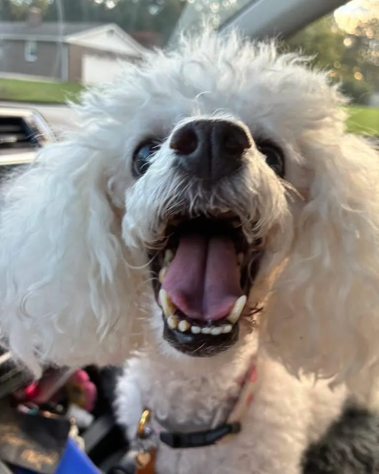 Sassy thumbnail 5