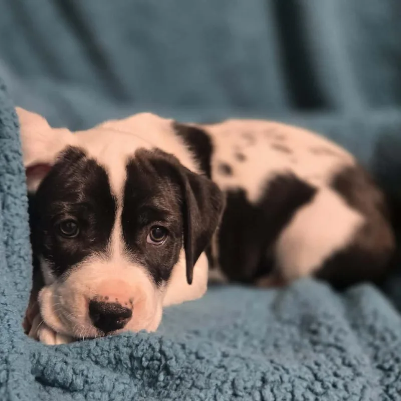 W$sh L$st thumbnail 2