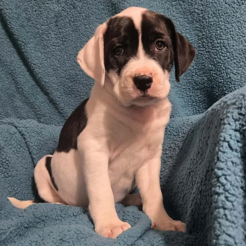 W$sh L$st thumbnail 3