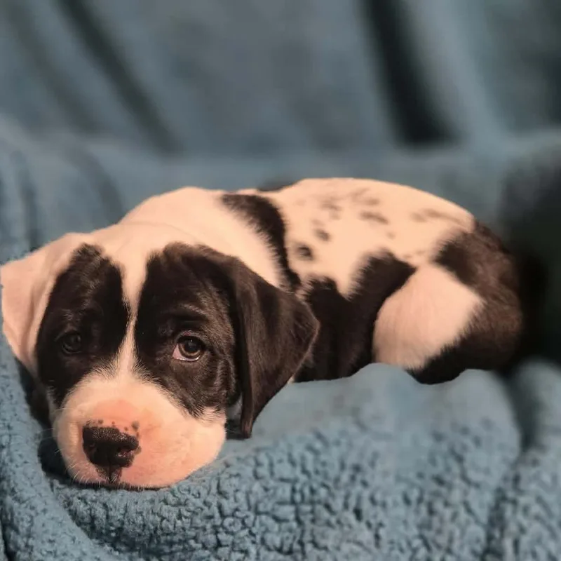 W$sh L$st thumbnail 4