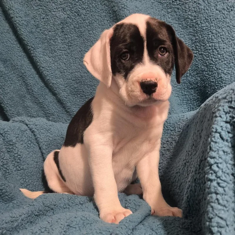 W$sh L$st thumbnail 5