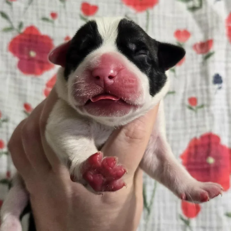 W$sh L$st thumbnail 6