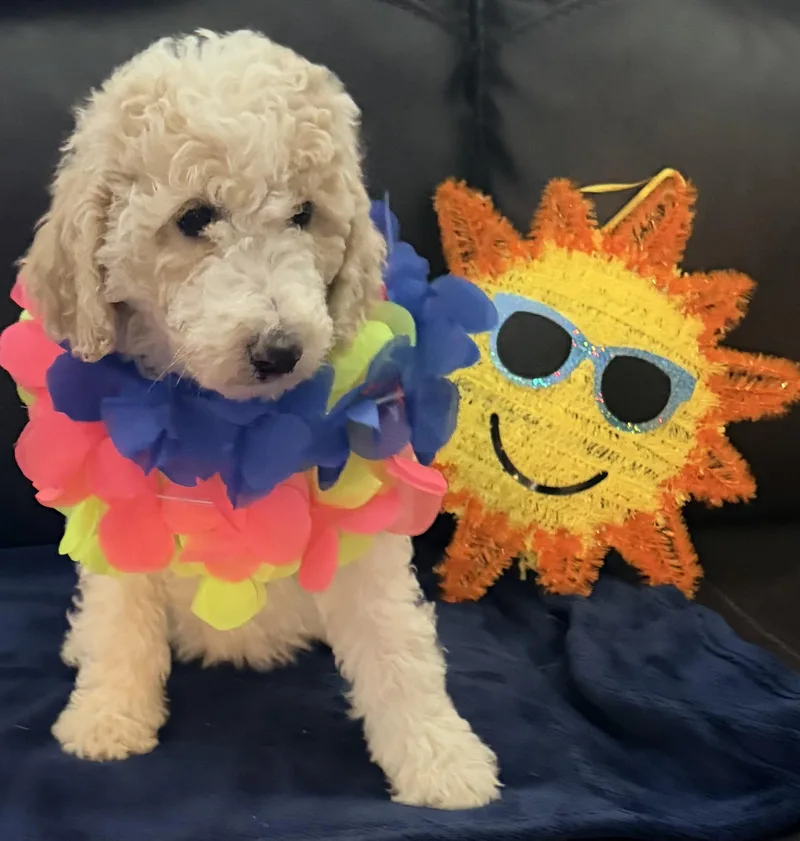 Sophie and Pennie thumbnail 2