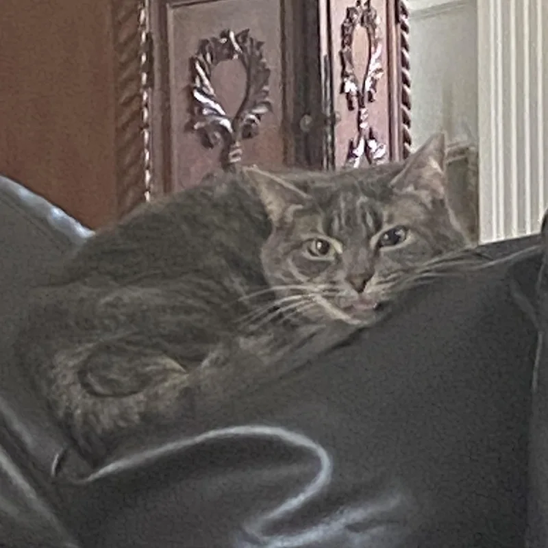 Stormy Lynne thumbnail 2