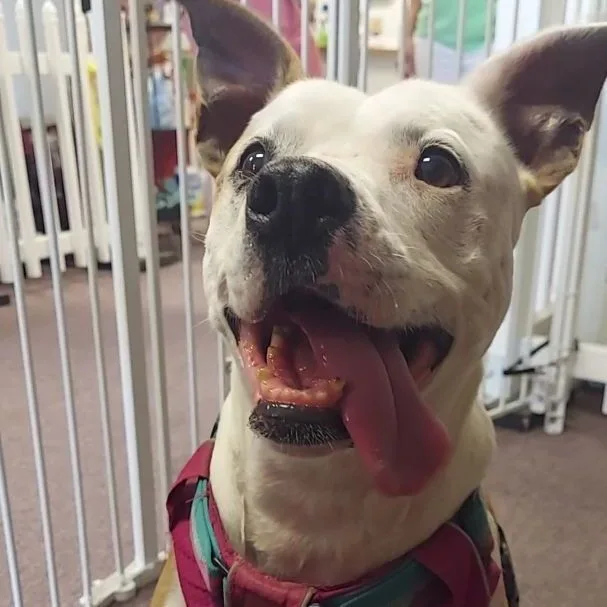 May Belle thumbnail 2