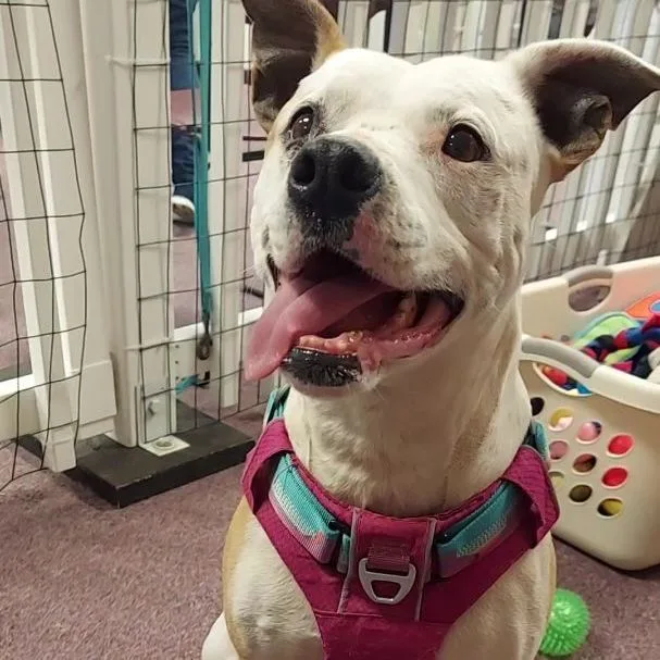 May Belle thumbnail 4